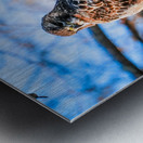 DSC06793 Metal print