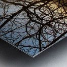 Setting sun shining through the branches of a beautiful old tree in front of countryside  Metal print