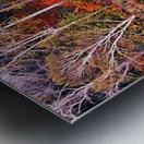 The Magical Season Metal print