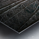 The Pathway Metal print