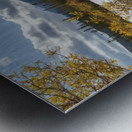 Autumn Colors Metal print