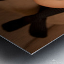 20090516_DSC2972_PS_CROP Metal print