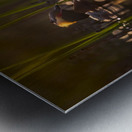 DSC_1987 Metal print