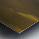 _TE89390 Metal print