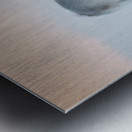 _TE80900 Metal print