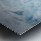 _TE80724 Metal print