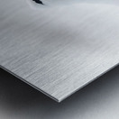 _TE81000 Metal print