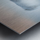 _TE80909 Metal print