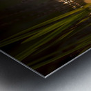 DSC_2027 Metal print