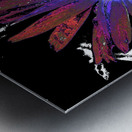 Abstract Vibrant Red and Purple Daisy Flower Metal print