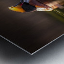 DSC_2156 Metal print