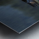 DSC_5386 Metal print