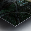 Scenes from the Trail- Forest Floor Metal print