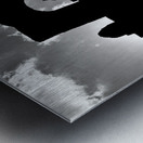 Executrix Metal print