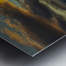 Patagonia 7329 Metal print