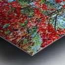 Colorful Fall Trail Metal print