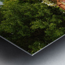 This Truck was Loved to Death Metal print