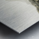 Botanical Beach 02 Metal print