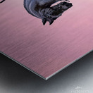 Equestrian Statue of George Washington in Boston Metal print