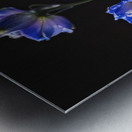 044A3439 Metal print