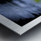 1Q8A1070 Metal print