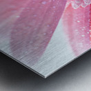 1Q8A7479 Metal print