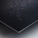 1Q8A7525 Metal print