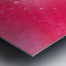 1Q8A7496 Metal print