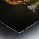 044A3131 Metal print