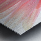 1Q8A7510 Metal print
