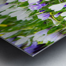 Spring Flower Meadow                                                                                                 Metal print