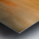 Z72 5951 Metal print