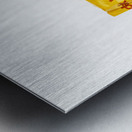 Kodak Dream Metal print