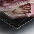 Dynamic Elephant - Colorful Wildlife Art Metal print