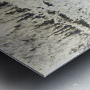 A Boy and a Horse Metal print