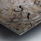 The Saga Metal print