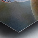 Chipping Sparrow Metal print