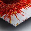 Abstract Vibrant Red Sunflower Metal print