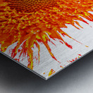 Abstract Orange Sunflower Metal print