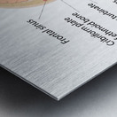 Anatomy of human brain and noise Metal print