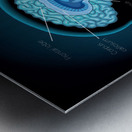 Human Brain Metal print