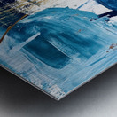 IMG 3037 Metal print