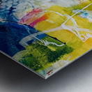 IMG 3620 Metal print