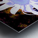 Pink Sunflower Star Metal print