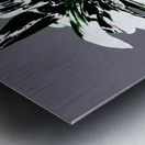 Abstract Arty Monochrome Sunflower Metal print