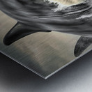 GREAT WHITE VAMPIRE.  SELECTIVE COLOR Metal print