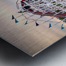 View From a Lift Hill Metal print