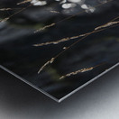  Tranquil Bokeh in the Scottish Highlands                                                                                                                      Metal print