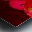 Cider Apples Metal print