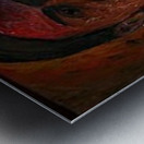 MET_N_YA_ART_RK__5_h Metal print